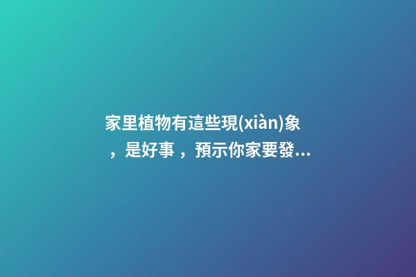 家里植物有這些現(xiàn)象，是好事，預示你家要發(fā)大財了！